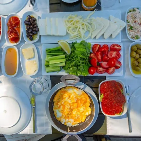 Pine 4 Vilă *